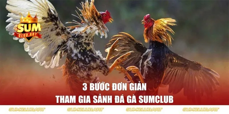 3 bước đơn giản tham gia sảnh đá gà SUMCLUB 